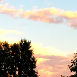 Meet your Posher, Alma